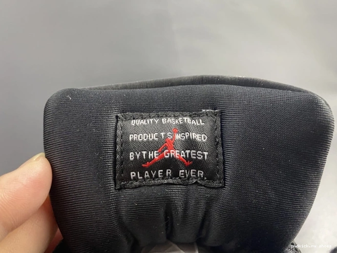 Rep 11 ANIMAL INSTINCT AIR JORDAN AR0715-010 0701